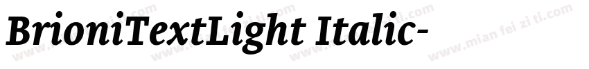 BrioniTextLight Italic字体转换